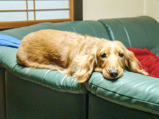 DSC02040画像3.jpg